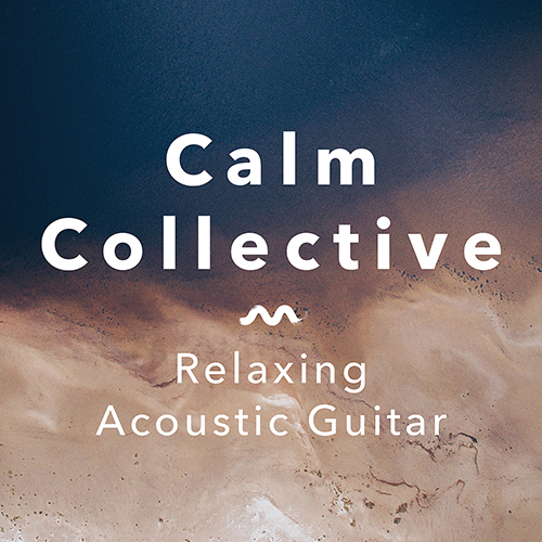 リラクシング・アコースティック・ギター（カーム・コレクティヴ） 00602508409219 NML ナクソス・ミュージック・ライブラリー