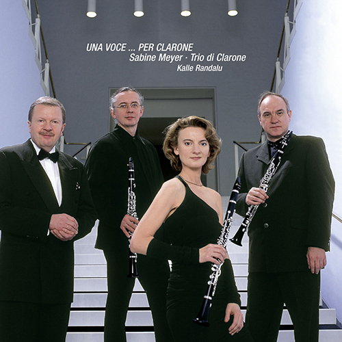 フランツ・ドップラー / カール・ドップラー リゴレット幻想曲 Op. 38 （R. ショットシュテットによるクラリネット、バセットホルン