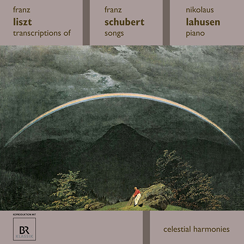 フランツシューベルト：   ニースミュレリン Schubert: Symphony No. 7 Unfinished