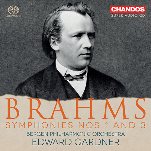 廃盤 11CD チェリビダッケ くし ステレオ ライヴ ロンドン交響楽団 ブラームス ワーグナー ドビュッシー Brahms Schumann  Wagner Celibidache 交響曲 | ファッションの