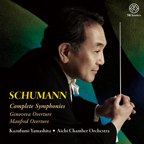 廃盤　　シューマン　主要作品全集（３５ＣＤ） 廃盤 シューマン 主要作品全集（35CD） 廃盤 シューマン 主要作品