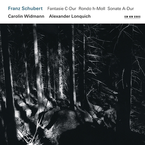 Imagen de apoyo de  SCHUBERT, F.: Fantasy, D. 934 / Rondo brillant, D. 895 / Duo Sonata, D. 574 (C. Widmann, Lonquich)