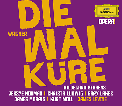 Imagen de apoyo de  WAGNER, R.: Walküre (Die) [Opera] (Behrens, J. Norman, C. Ludwig, G. Lakes, J. Morris, K. Moll, Metropolitan Opera, Levine)