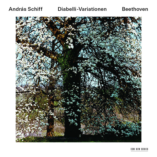 Imagen de apoyo de  BEETHOVEN, L. van: Diabelli Variations / Piano Sonata No. 32 / 6 Bagatelles (A. Schiff)