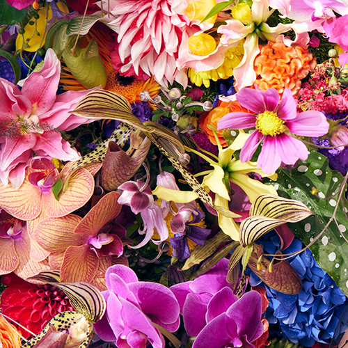 Imagen de apoyo de  RACHMANINOV, S.: 14 Songs: No. 14. Vocalise (arr. Takatsugu Muramatsu) (Cocomi, Niu Niu)