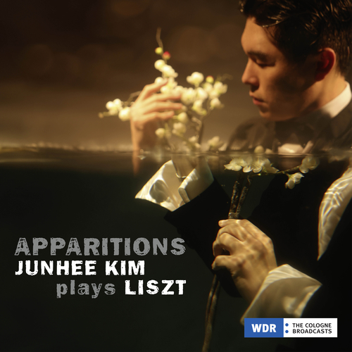 Imagen de apoyo de  LISZT, F.: Piano Music (Apparitions) (Junhee Kim)