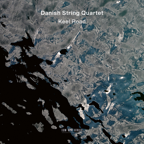 Imagen de apoyo de  String Quartets - CAROLAN, T. / CARR, A. / SØRENSEN, R.T. / SJÖLIN, F.S. (The Danish String Quartet) (Keel Road)