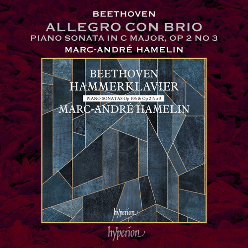 Imagen de apoyo de  BEETHOVEN, L. van: Piano Sonata No. 3: I. Allegro con brio (Hamelin)