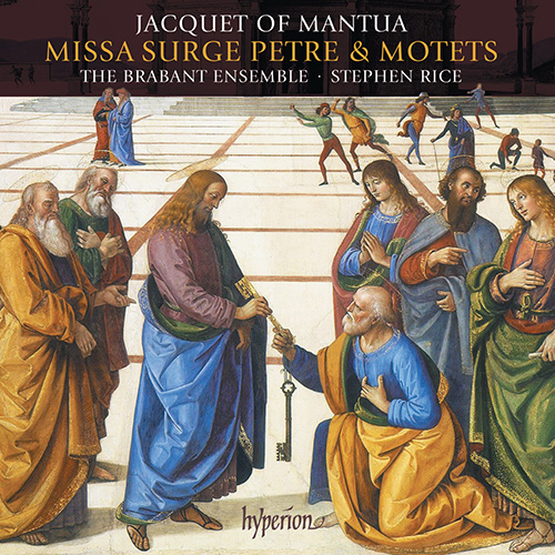 Imagen de apoyo de  JACQUET OF MANTUA: Missa Surge Petre / Motets (The Brabant Ensemble, S. Rice)