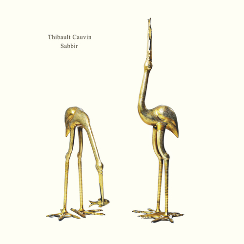 Imagen de apoyo de  CAUVIN, Thibault: Sabbir