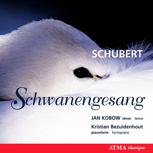 Imagen de apoyo de  SCHUBERT, F.: Schwanengesang / MENDELSSOHN, Felix: Songs (Kobow, Bezuidenhout)