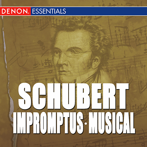 Imagen de apoyo de  SCHUBERT, F.: Impromptus / 6 Moments musicaux (Capova, Pivka)