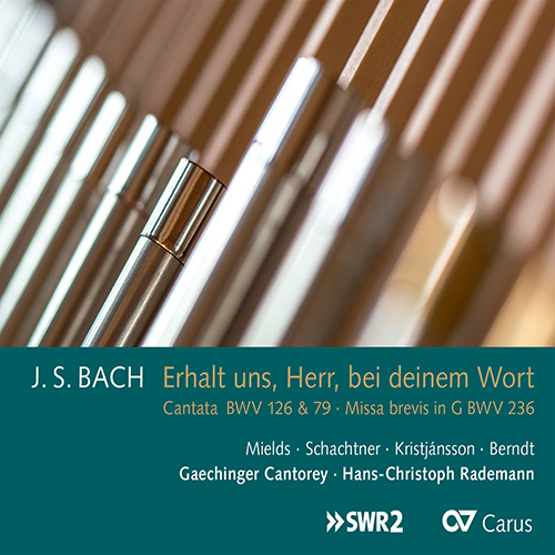 Imagen de apoyo de  BACH, J.S.: Cantatas, BWV 79 and 126 / Mass, BWV 236 (Erhalt uns, Herr, bei deinem Wort) (Mields, Schachtner, Gaechinger Cantorey, Rademann)
