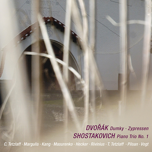 Imagen de apoyo de  DVOŘÁK, A.: Piano Trio No. 4, "Dumky" / SHOSTAKOVICH, D.: Piano Trio No. 1 (Margulis, Byol Kang, Masurenko, C. and T. Tetzlaff, Hecker, Rivinius)