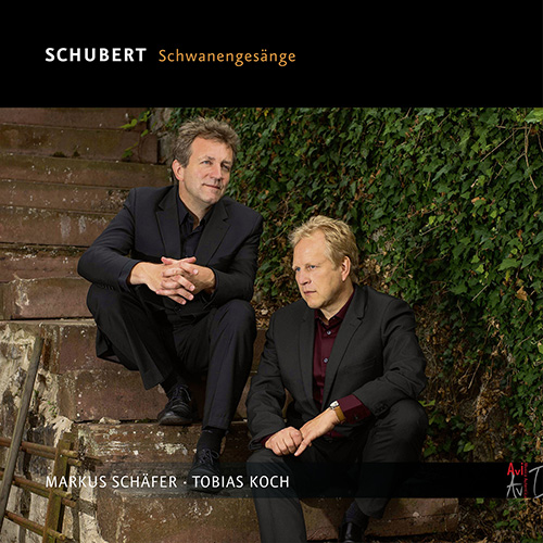Imagen de apoyo de  SCHUBERT, F.: Schwanengesang / Der Winterabend / Die Sterne / Auf dem Strom / Herbst (Schwanengesänge) (M. Schäfer, Katte, T. Koch)