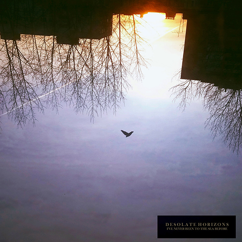 Imagen de apoyo de  DESOLATE HORIZONS: I've Never Been to the Sea Before (Desolate Horizons)