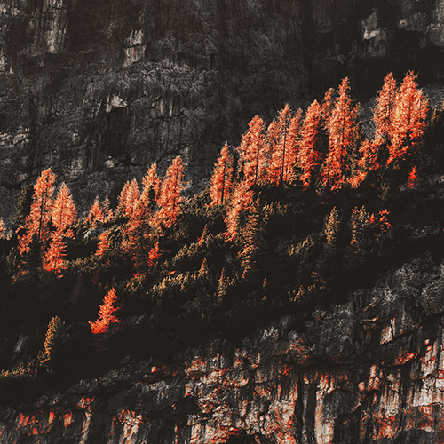 Imagen de apoyo de  DESOLATE HORIZONS: Captured Loneliness (Desolate Horizons)