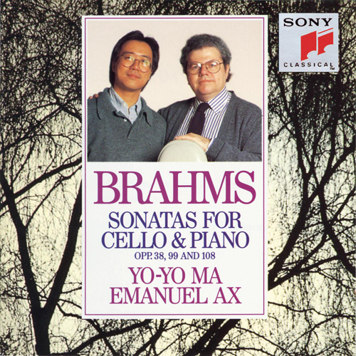 Imagen de apoyo de  BRAHMS, J.: Cello Sonatas Nos. 1 and 2 (Yo-Yo Ma, Ax)