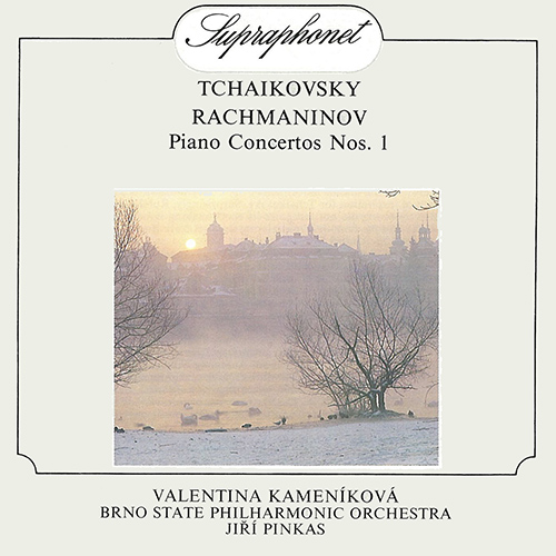 Imagen de apoyo de  TCHAIKOVSKY, P.I. / RACHMANINOV, S.: Piano Concertos Nos. 1 (Kameníková, Brno Philharmonic, Pinkas)