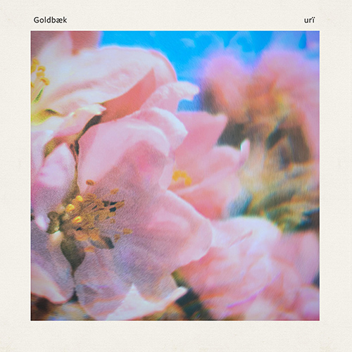 Imagen de apoyo de  GOLDBÆK: urï (Goldbæk)