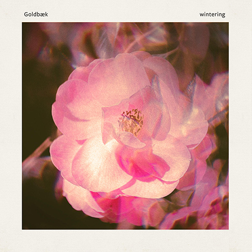 Imagen de apoyo de  GOLDBÆK: wintering (Goldbæk)
