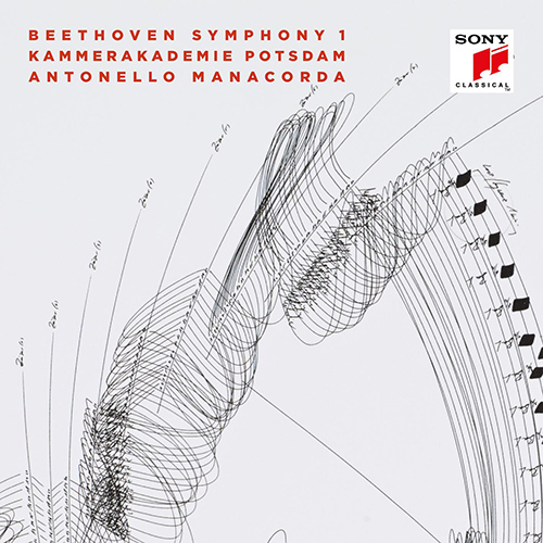 Imagen de apoyo de  BEETHOVEN, L. van: Symphony No. 1 (Kammerakademie Potsdam, Manacorda)