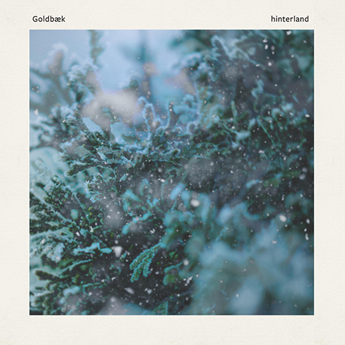 Imagen de apoyo de  GOLDBÆK: hinterland