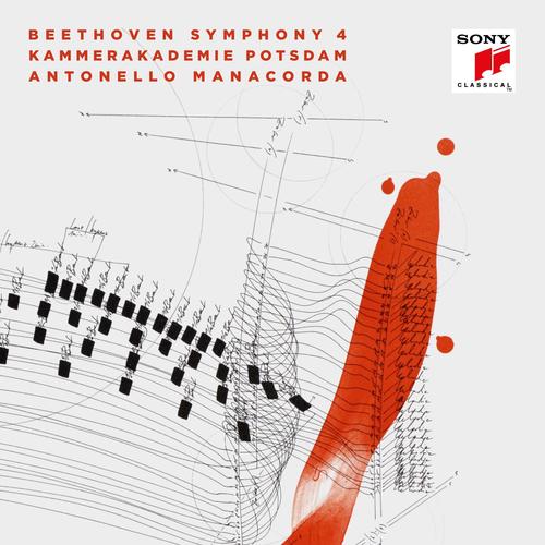 Imagen de apoyo de  BEETHOVEN, L. van: Symphony No. 4 (Kammerakademie Potsdam, Manacorda)