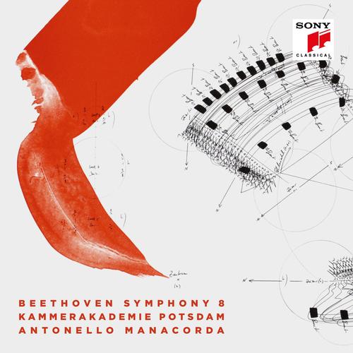 Imagen de apoyo de  BEETHOVEN, L. van: Symphony No. 8 (Kammerakademie Potsdam, Manacorda)