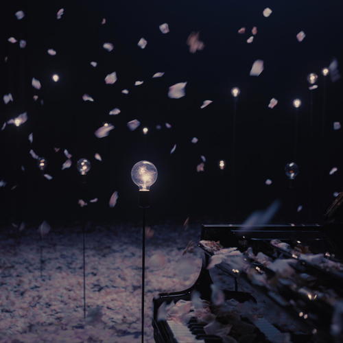 Imagen de apoyo de  WONG, Ivana: Shattered