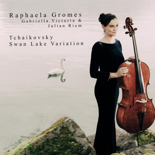 Imagen de apoyo de  TCHAIKOVSKY, P.I.: Swan Lake Suite, Op. 20a: I. Scene (arr. J. Riem for piano trio) (Gromes, Riem, Victoria)