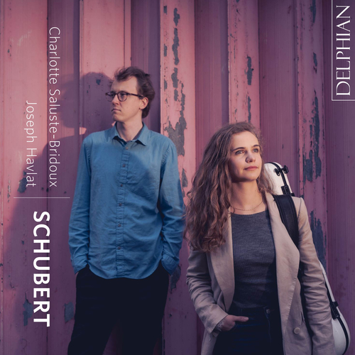 Imagen de apoyo de  SCHUBERT, F.: Duo Sonata, Op. 162 / Fantasy, Op. 159 / Rondo brillant (Saluste-Bridoux, Havlat)