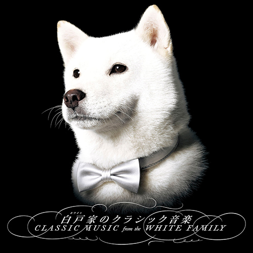 Imagen de apoyo de  Classic Music from the White Family - BACH, J.S. / DEBUSSY, C. / KOBAYASHI, Asei / PROKOFIEV, S. (White Orchestra)