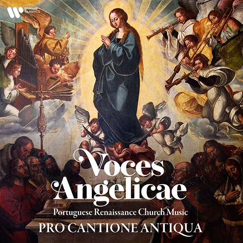 Imagen de apoyo de  Choral Concert: Pro Cantione Antiqua - BRITO, E. DE / CARDOSO, M. / LÔBO, D. / MORAGO, E.L. (Voces angelicae - Portuguese Renaissance Church Music)