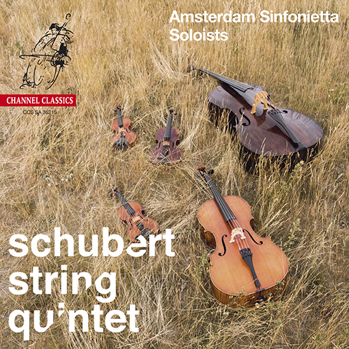Imagen de apoyo de  SCHUBERT, F.: String Quintet, D. 956 (Amsterdam Sinfonietta Soloists)