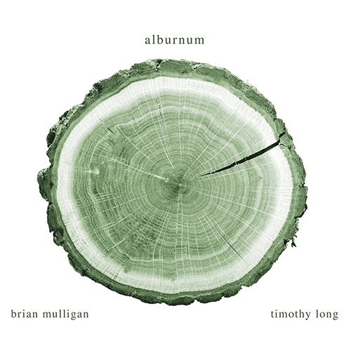 Imagen de apoyo de  Vocal Recital (Baritone): Mulligan, Brian - BATES, M. / MAZZOLI, M. / SPEARS, G. (Alburnum)
