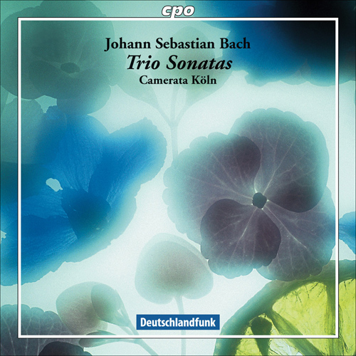 Imagen de apoyo de  BACH, J.S.: Trio Sonatas - BWV 525, 527, 1027, 1028, 1029 (Camerata Koln)