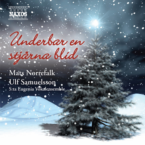 Imagen de apoyo de  CHRISTMAS MUSIC - Underbar en stjarna blid