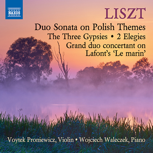 Imagen de apoyo de  LISZT, F.: Violin and Piano Music - Duo Sonata / Die drei Zigeuner / Élégies / Grand duo concertant on Lafont's Le marin (V. Proniewicz, Waleczek)