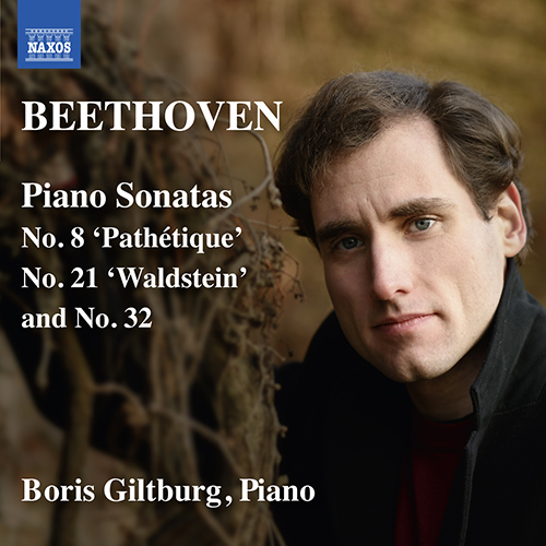 Imagen de apoyo de  BEETHOVEN, L. van: Piano Sonatas Nos. 8, 21, 32 (Giltburg)