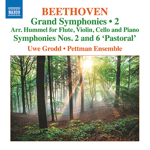 Imagen de apoyo de  BEETHOVEN, L. van: Grand Symphonies, Vol. 2 - Symphonies Nos. 2 and 6 (arr. J.N. Hummel for flute and piano trio) (Pettman Ensemble)