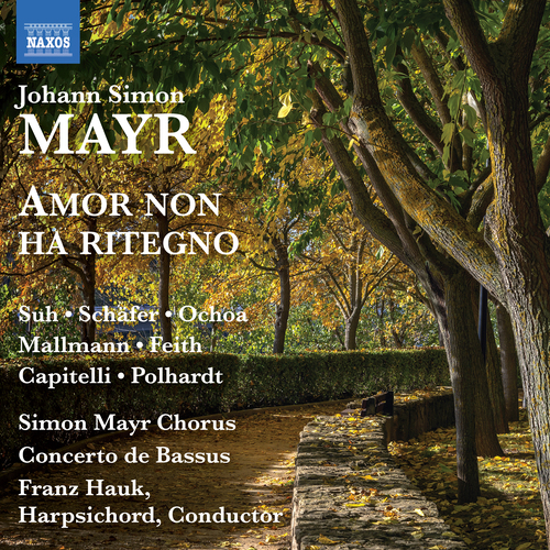 Imagen de apoyo de  MAYR, J.S.: Amor non ha ritegno [Opera] (Yeree Suh, Marcus Schäfer, Ochoa, N. Mallmann, A. Feith, Simon Mayr Choir, Concerto de Bassus, Hauk)