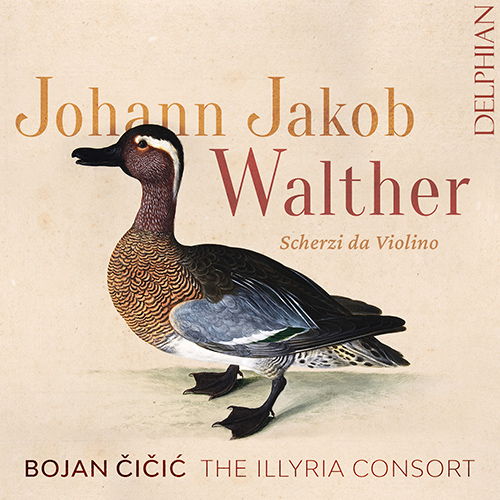Imagen de apoyo de  WALTHER, J.J.: Scherzi da violino solo (Čičić, The Illyria Consort)
