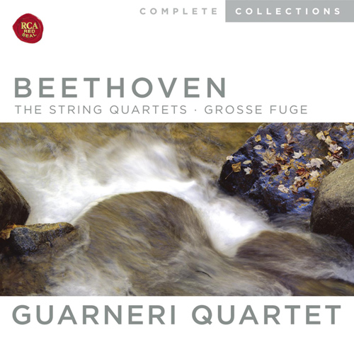 Imagen de apoyo de  BEETHOVEN, L. van: String Quartets Nos. 1-16  (Guarneri Quartet)