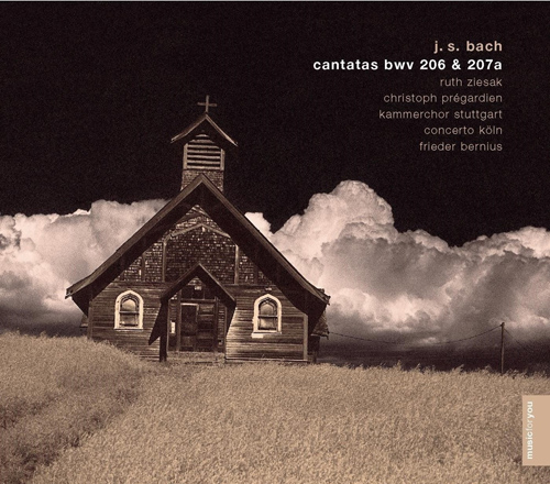 Imagen de apoyo de  BACH, J.S.: Auf, schmetternde Töne / Schleicht, spielende Wellen (Stuttgart Chamber Choir, Concerto Köln, Bernius)