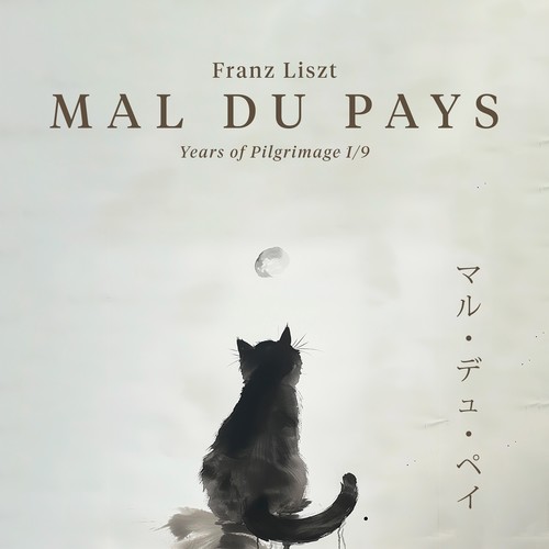 Imagen de apoyo de  LISZT, F.: Années de pèlerinage: No. 8. Le mal du pays (Allhoff)