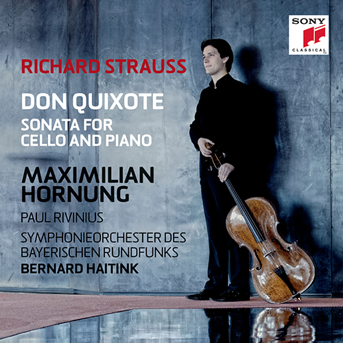 Imagen de apoyo de  STRAUSS, R.: Don Quixote / Cello Sonata (Hornung, Rivinius, Bavarian Radio Symphony, Haitink)