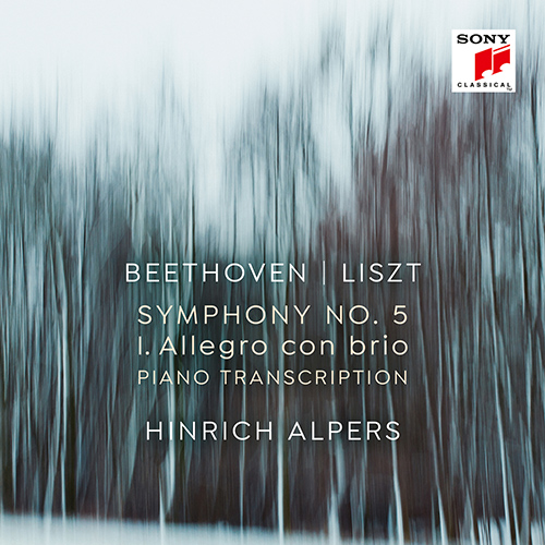 Imagen de apoyo de  LISZT, F.: Beethoven - Symphony No. 5: I. Allegro con brio (Alpers)
