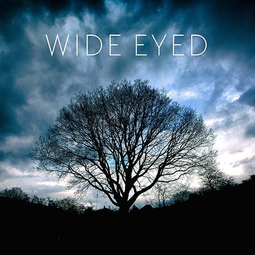 Imagen de apoyo de  WIDE EYED: Song for Three (Wide Eyed)