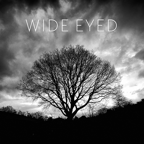 Imagen de apoyo de  WIDE EYED: Song for Three